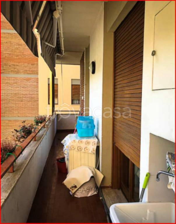 immagine annuncio 7 di 14