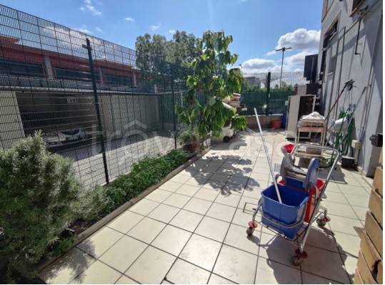 immagine annuncio 1 di 13