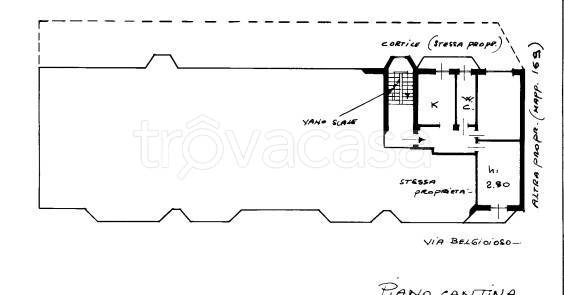 immagine annuncio 12 di 13
