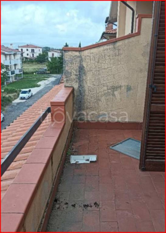 immagine annuncio 7 di 14