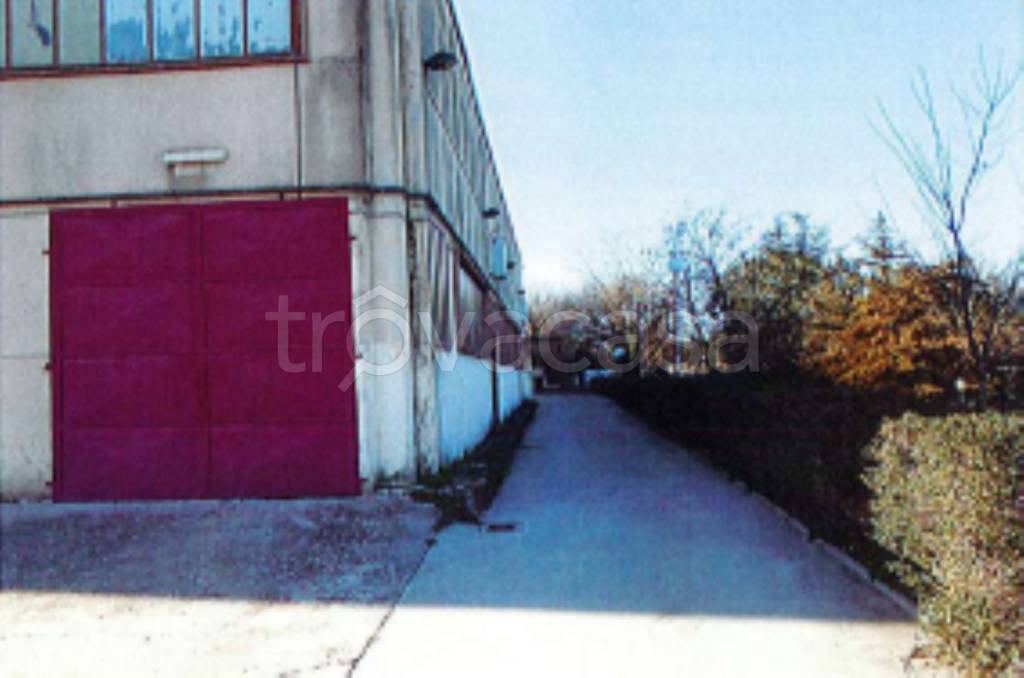 immagine annuncio 4 di 11