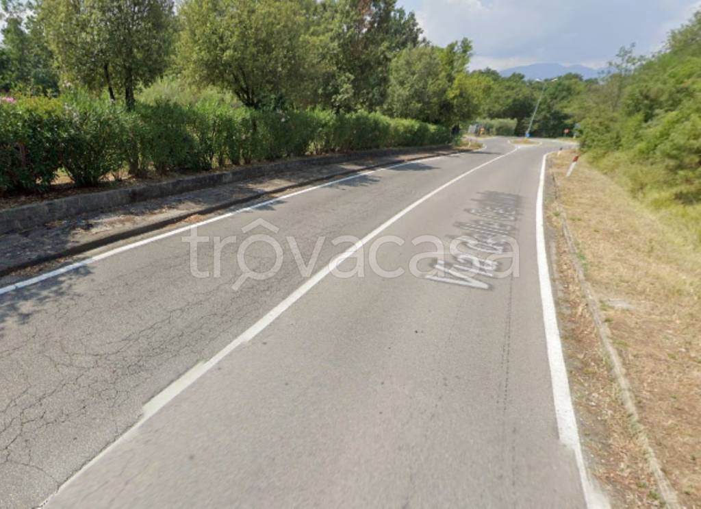 immagine annuncio 7 di 11