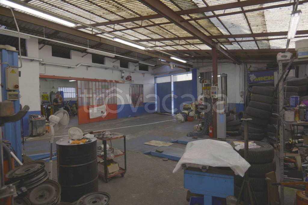 immagine annuncio 6 di 15