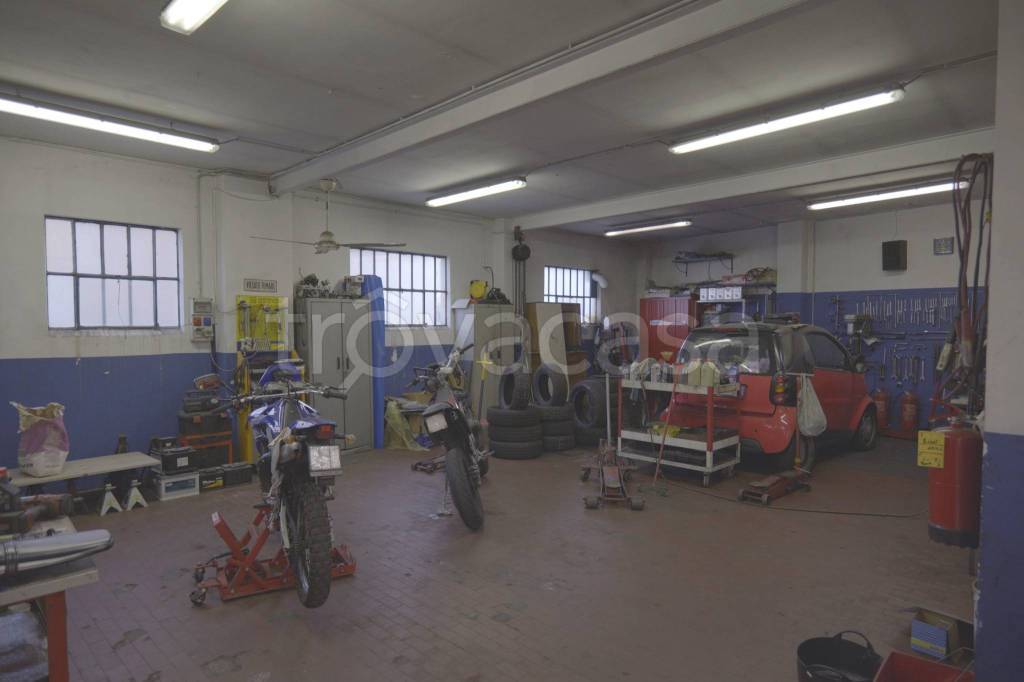 immagine annuncio 7 di 15