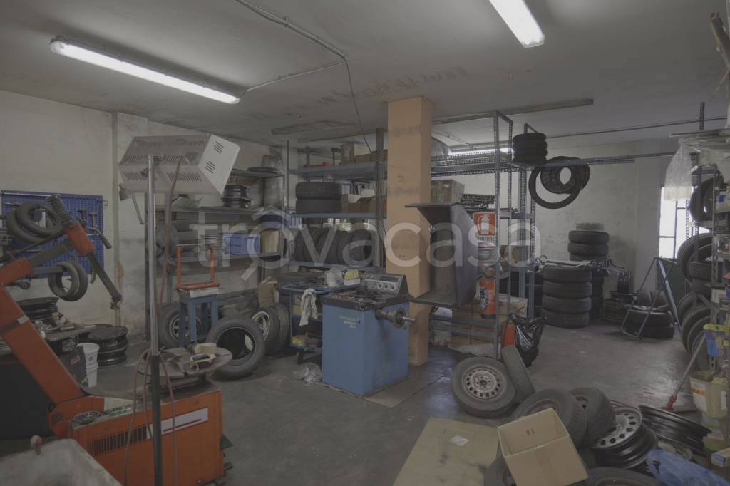 immagine annuncio 9 di 15