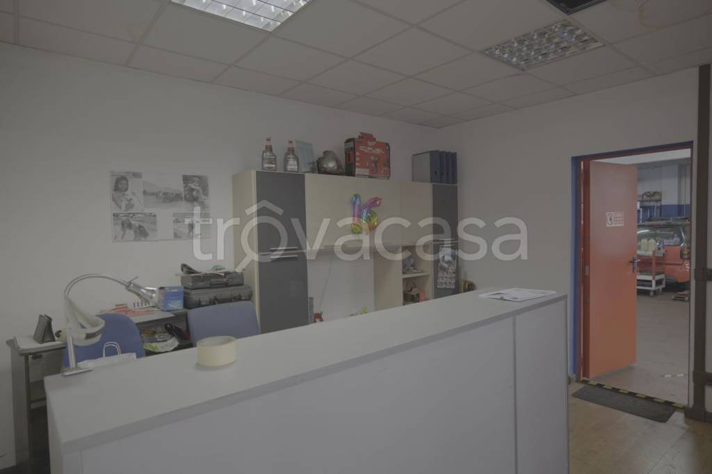 immagine annuncio 13 di 15