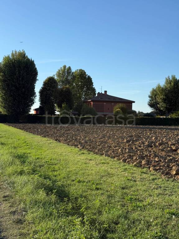 immagine annuncio 12 di 14