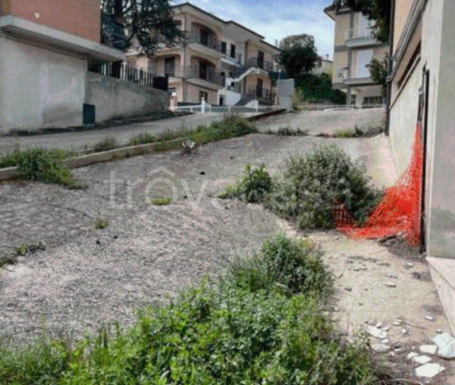 immagine annuncio 5 di 12