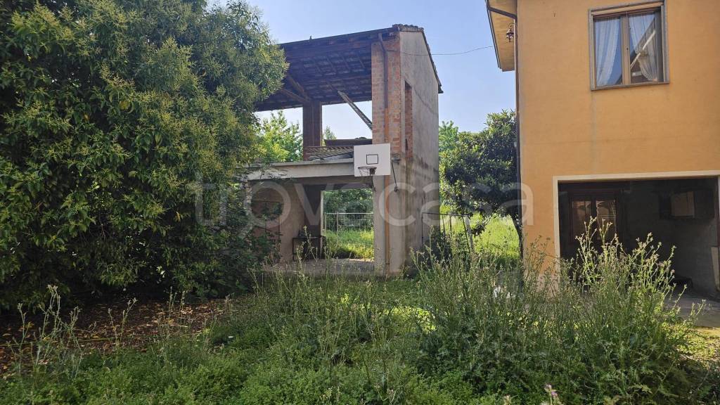 immagine annuncio 2 di 11