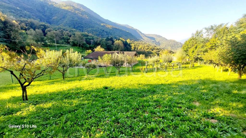 immagine annuncio 11 di 15