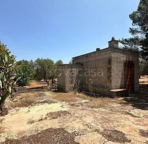 immagine annuncio 5 di 12