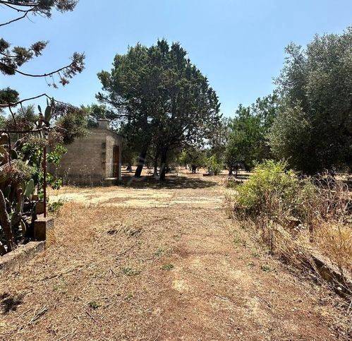 immagine annuncio 6 di 12