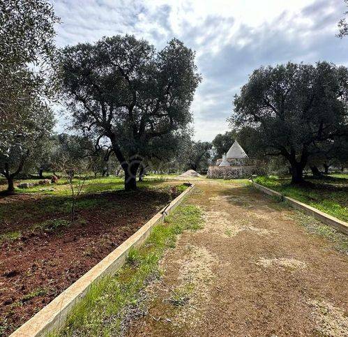 immagine annuncio 2 di 11