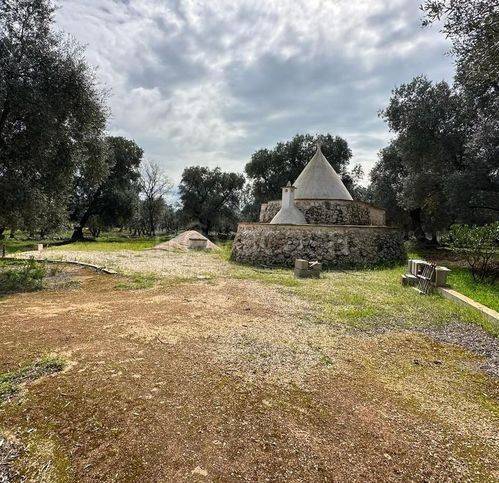 immagine annuncio 3 di 11