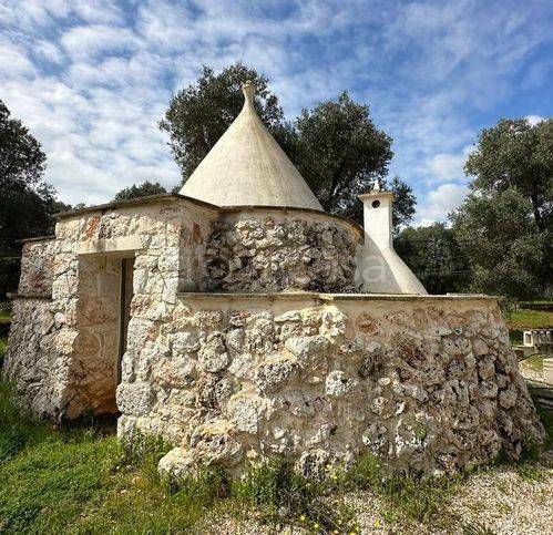 immagine annuncio 8 di 11