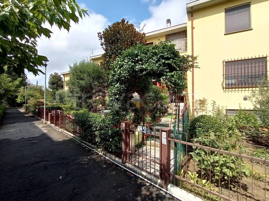 immagine annuncio 4 di 15