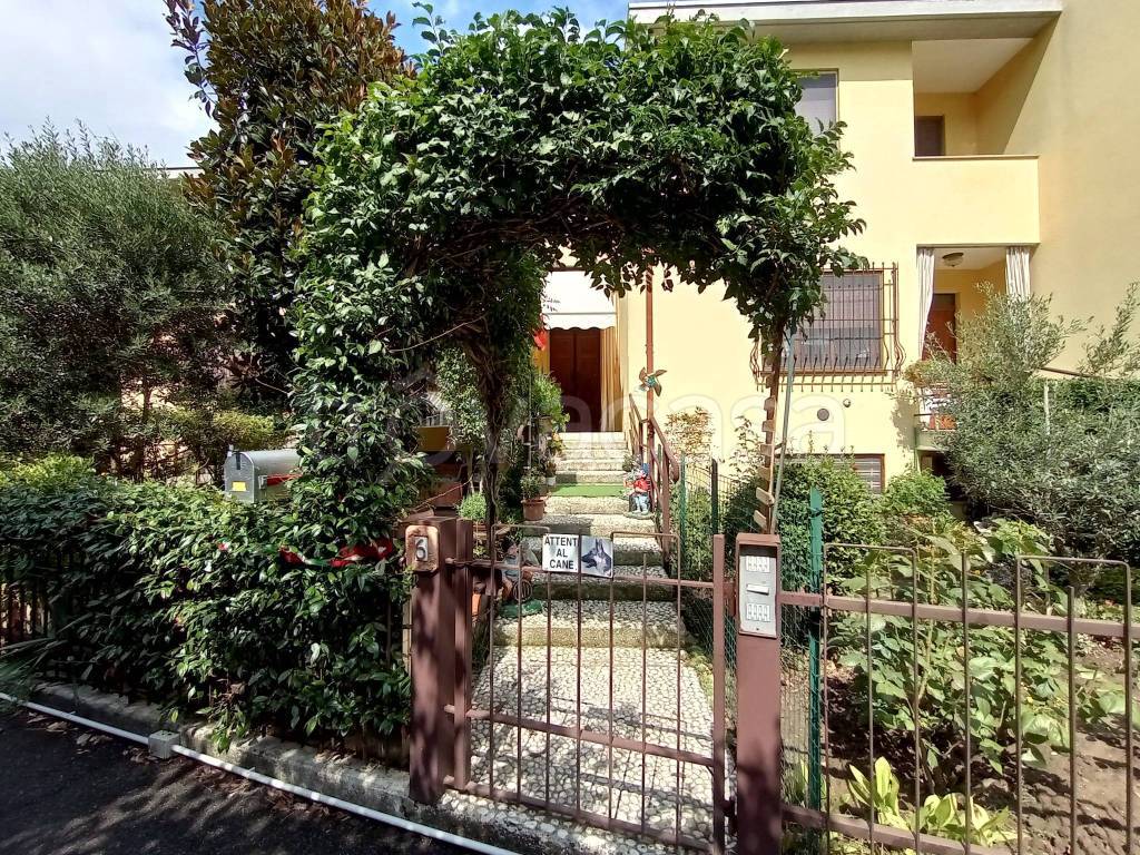 immagine annuncio 5 di 15