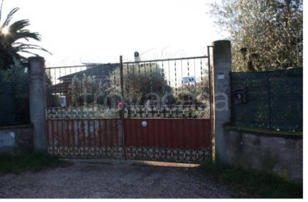 immagine annuncio 5 di 12