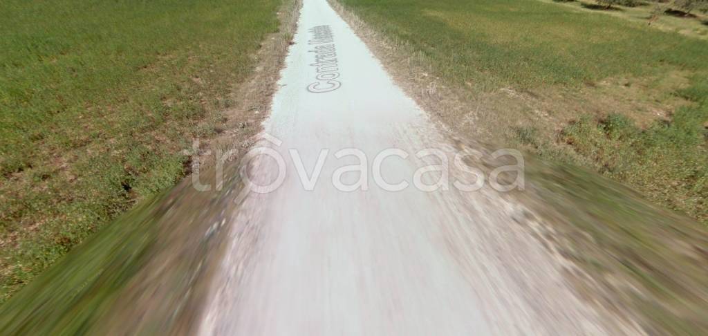 immagine annuncio 6 di 11