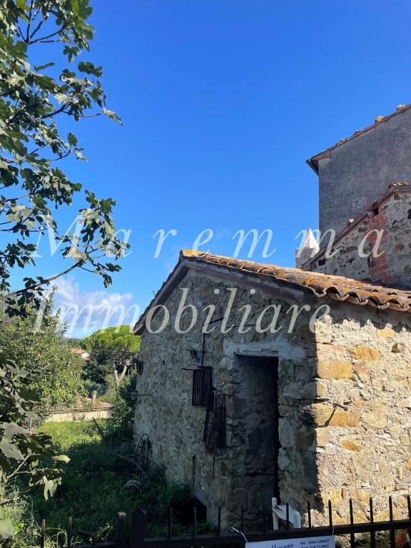 immagine annuncio 11 di 14
