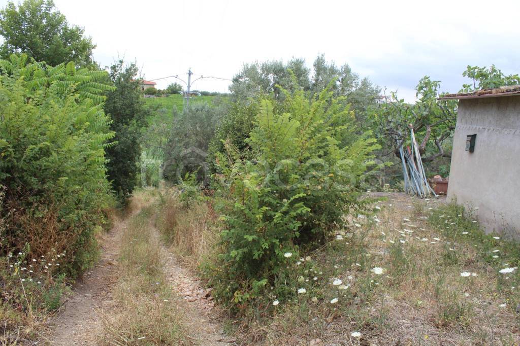 immagine annuncio 13 di 14