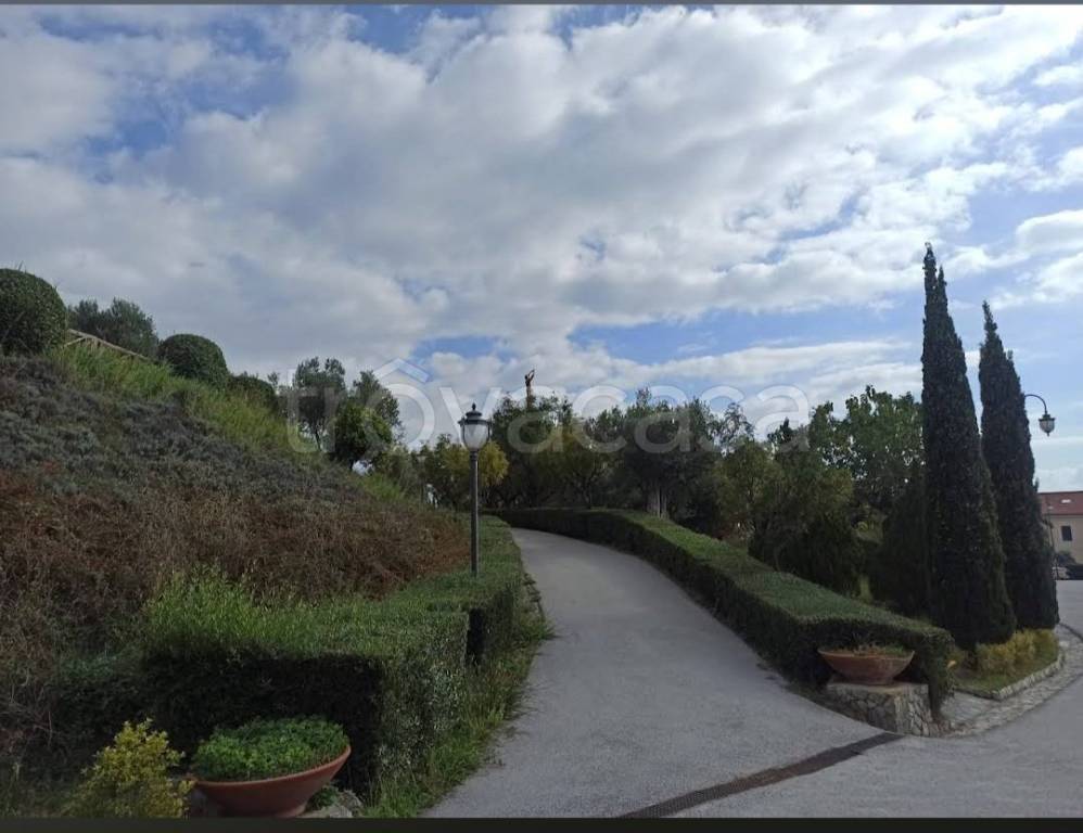immagine annuncio 8 di 12