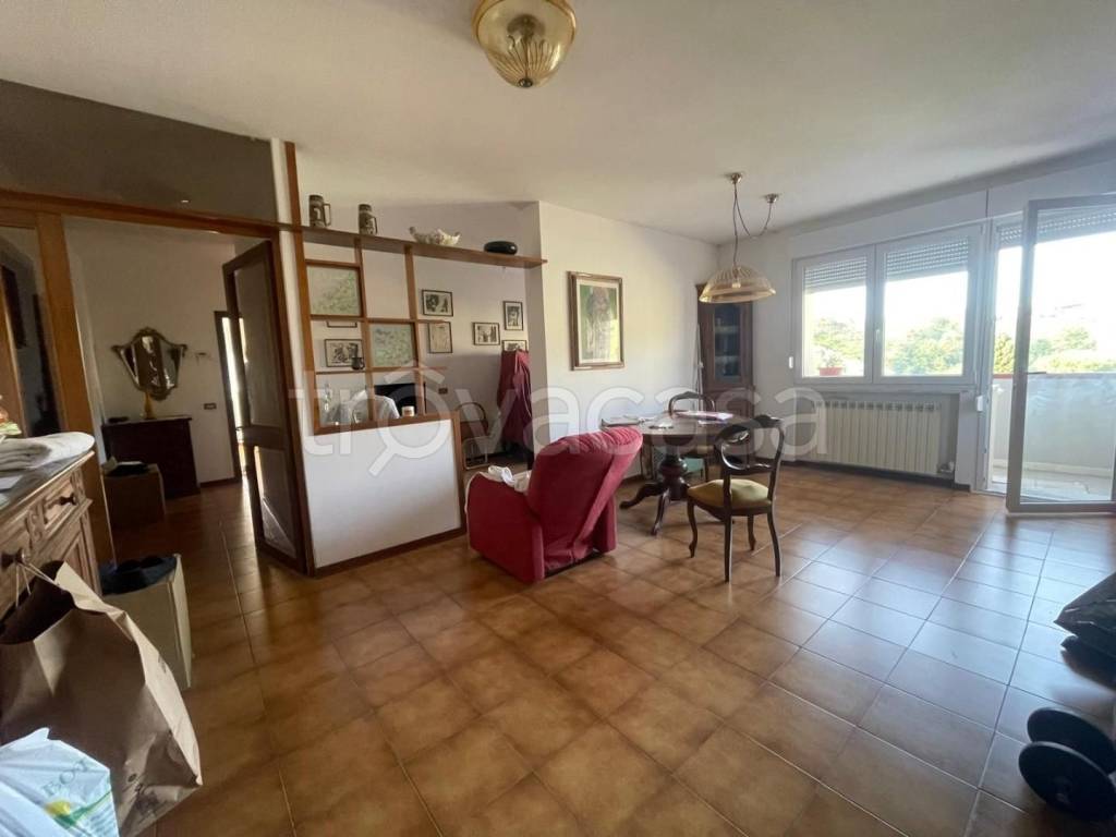 immagine annuncio 4 di 14