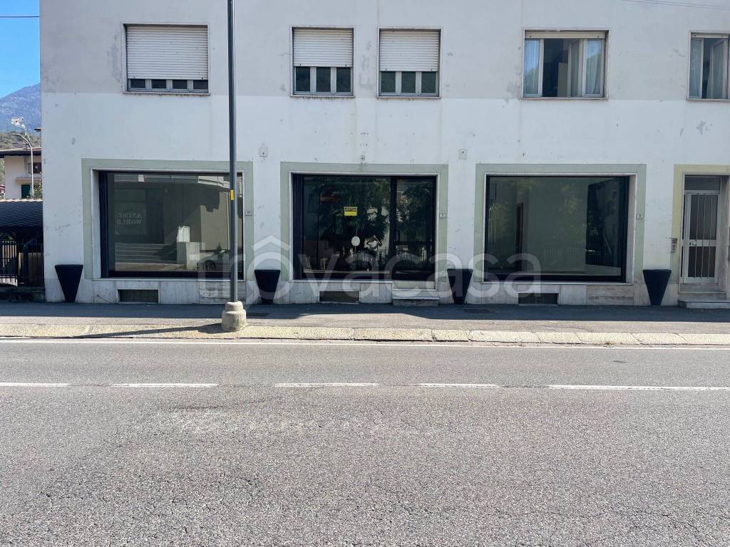 immagine annuncio 2 di 8