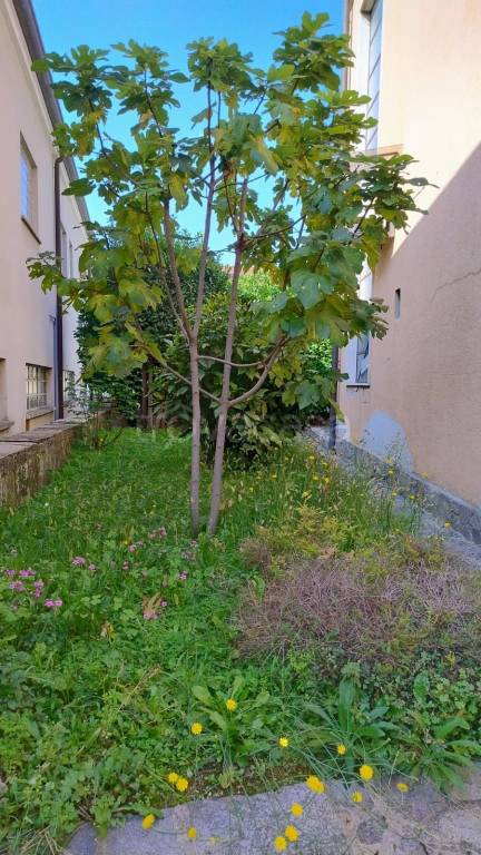 immagine annuncio 4 di 7