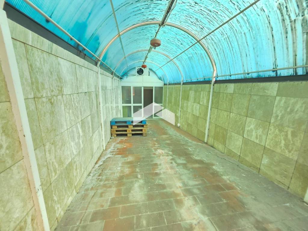 immagine annuncio 4 di 14