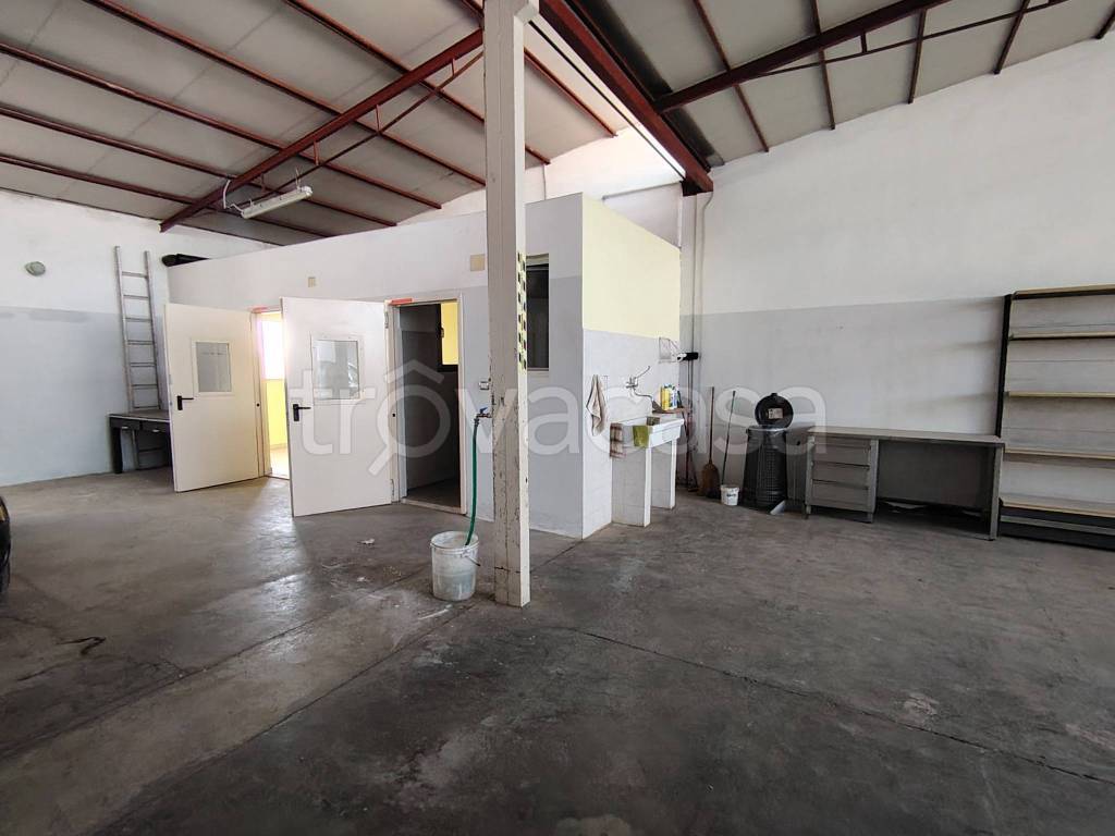 immagine annuncio 1 di 4