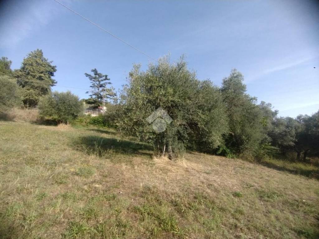 immagine annuncio 1 di 8