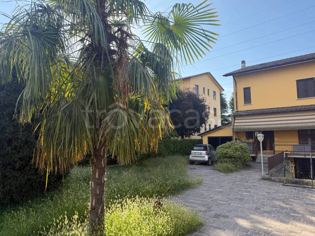 immagine annuncio 11 di 12