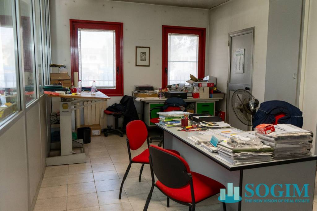 immagine annuncio 7 di 12