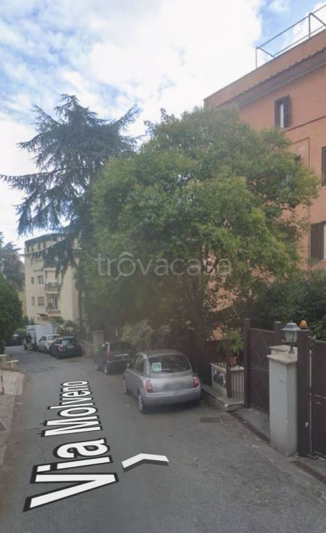 immagine annuncio 5 di 11