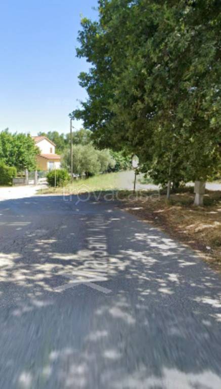 immagine annuncio 2 di 11