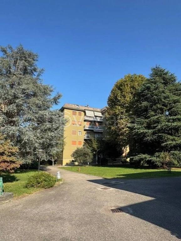 immagine annuncio 12 di 13
