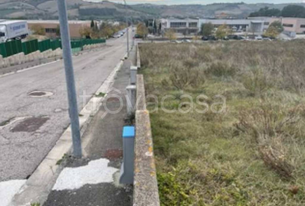 immagine annuncio 3 di 11