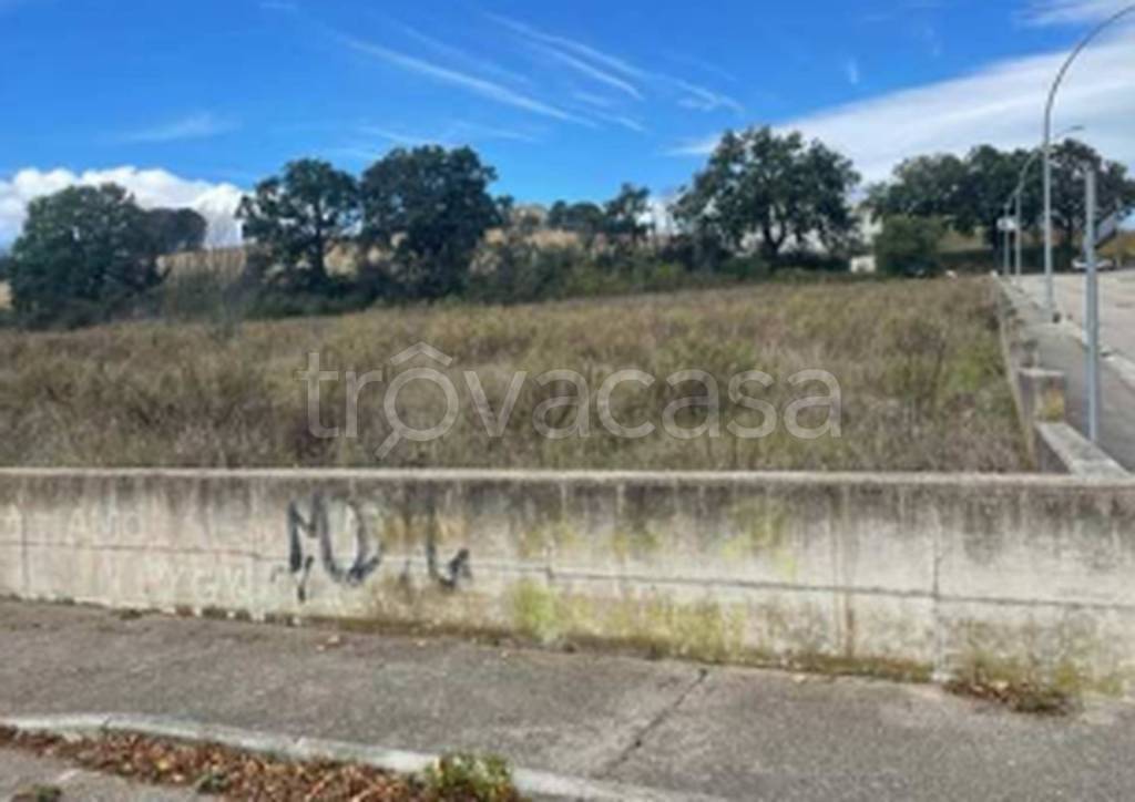 immagine annuncio 10 di 11