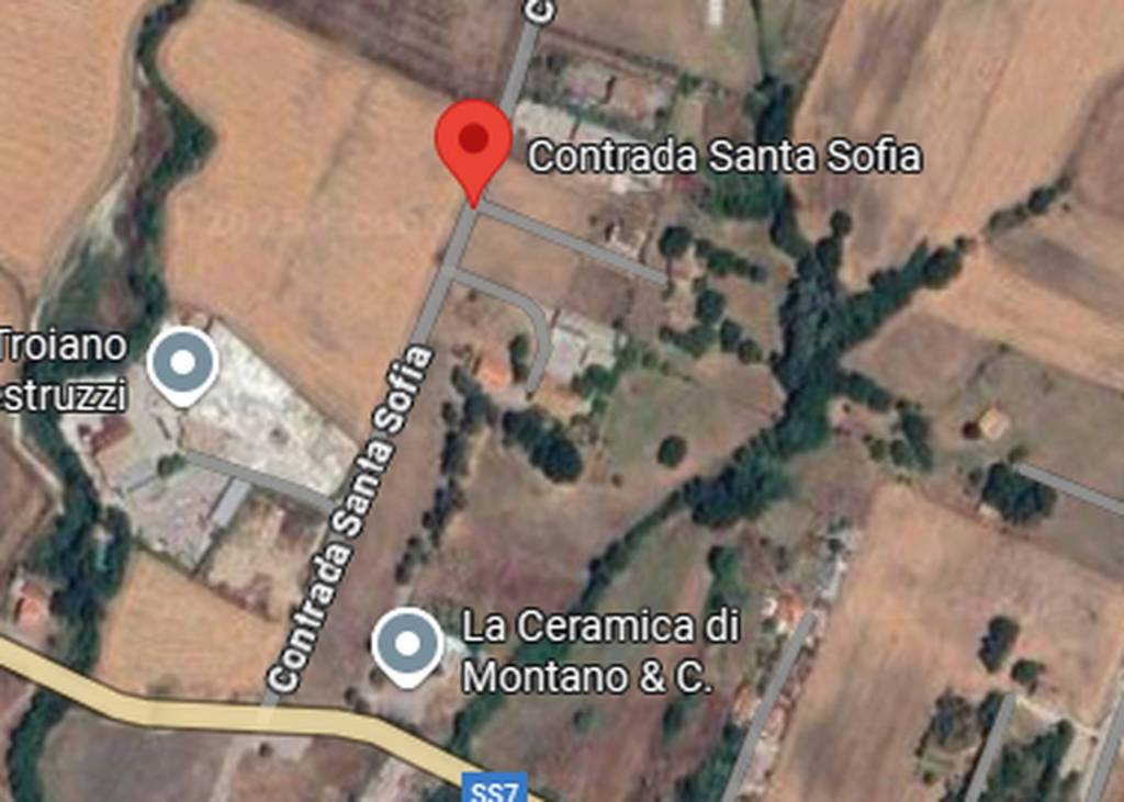 immagine annuncio 10 di 11