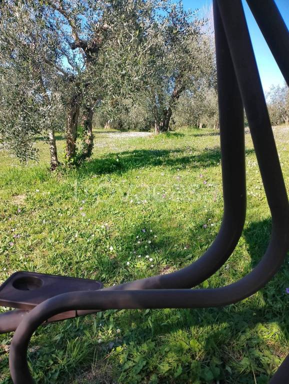 immagine annuncio 4 di 11