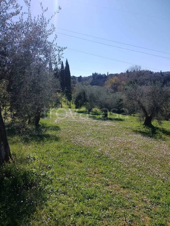 immagine annuncio 6 di 11