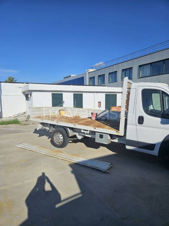 immagine annuncio 9 di 15