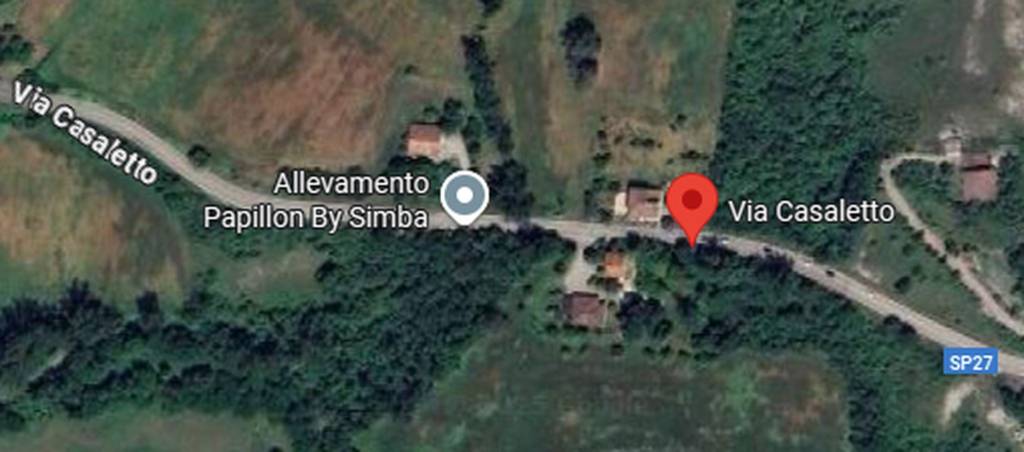 immagine annuncio 10 di 12