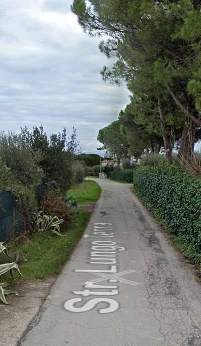 immagine annuncio 5 di 11