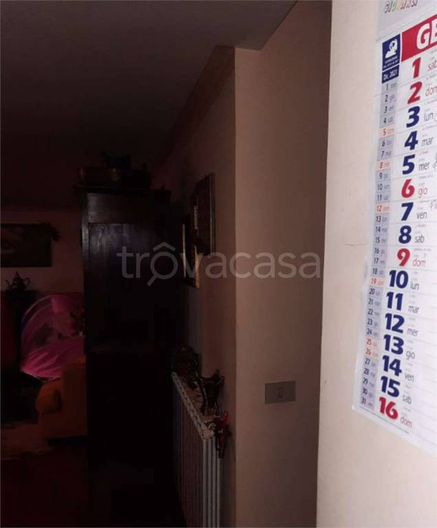 immagine annuncio 5 di 11