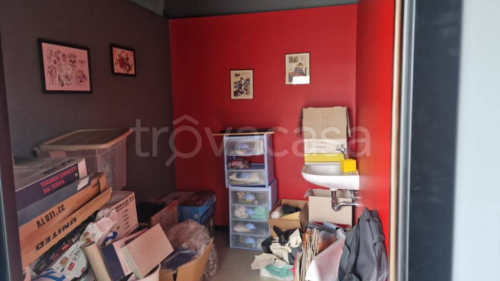 immagine annuncio 11 di 15