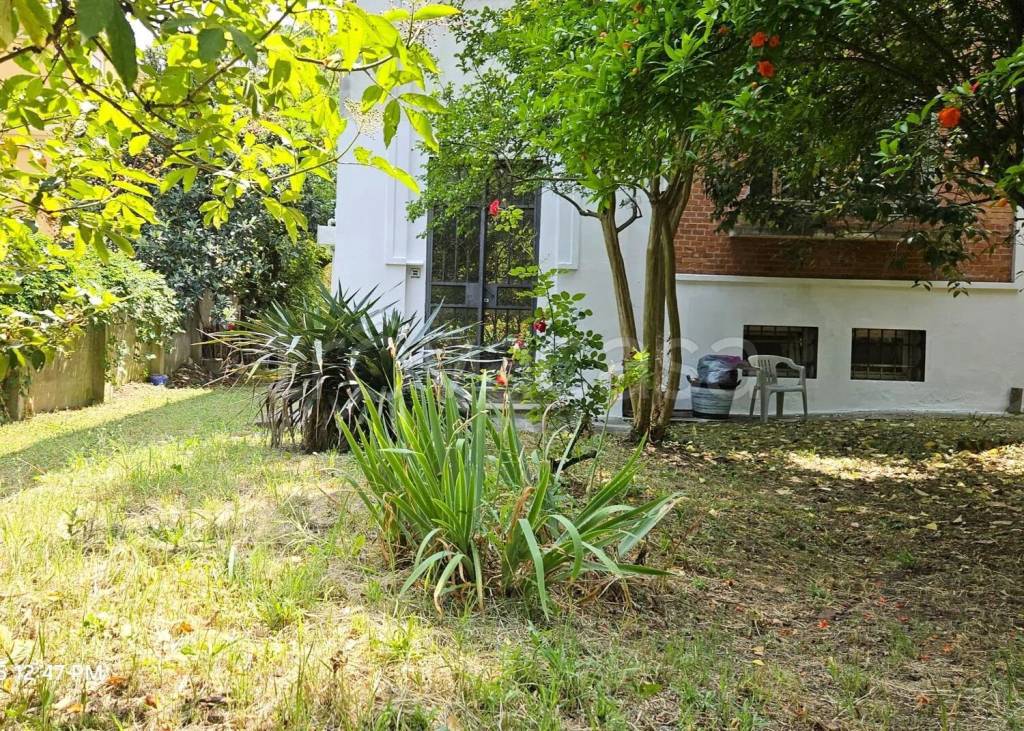 immagine annuncio 6 di 9