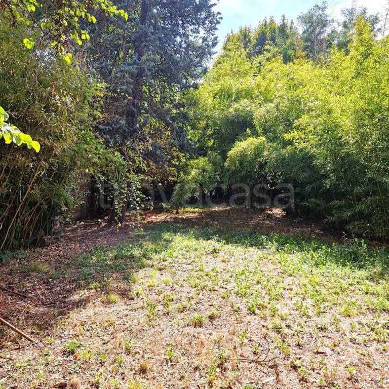 immagine annuncio 7 di 9