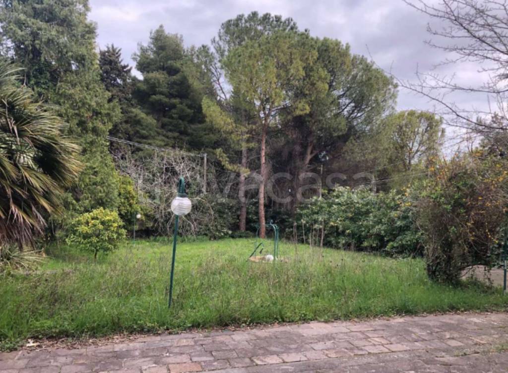 immagine annuncio 9 di 12